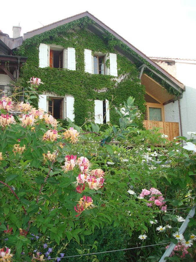 Wonderlandscape Guest House Le Grand Saconnex エクステリア 写真
